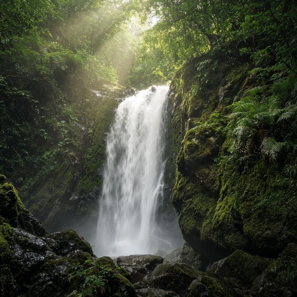 Forest Waterfall Nature DP – A tall waterfall in a lush green forest with mossy rocks and sun rays. A free HD nature DP for WhatsApp, Insta… (Nature DPS)